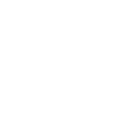 Instagram Icon